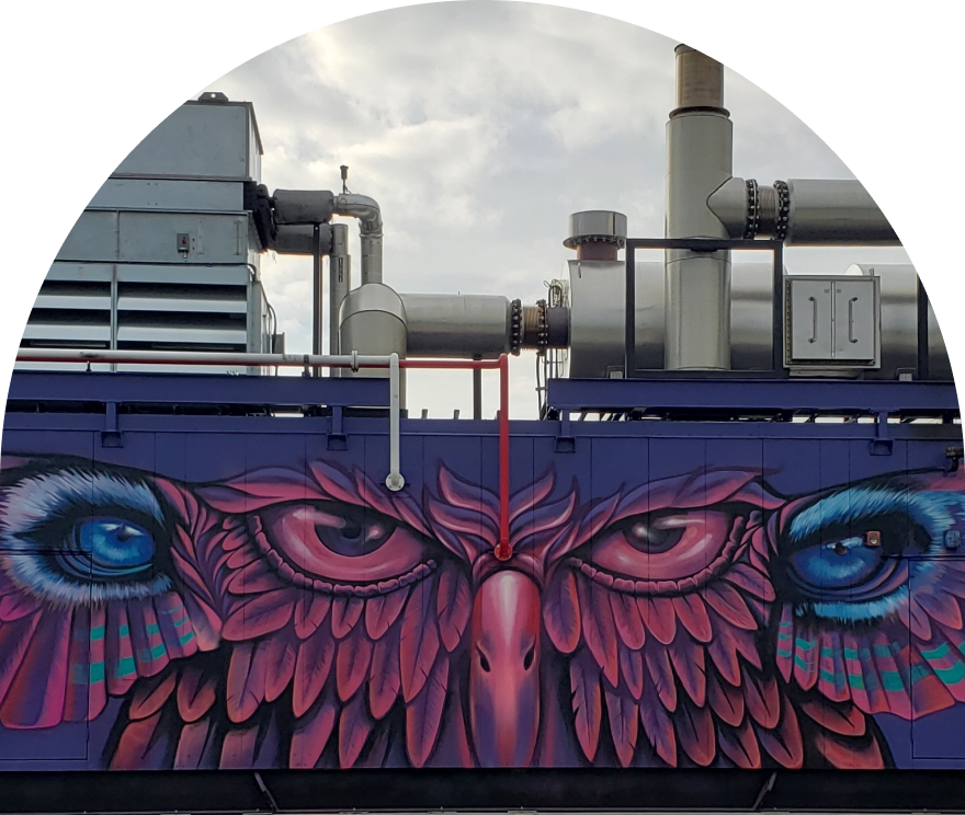 Bird Graffiti
